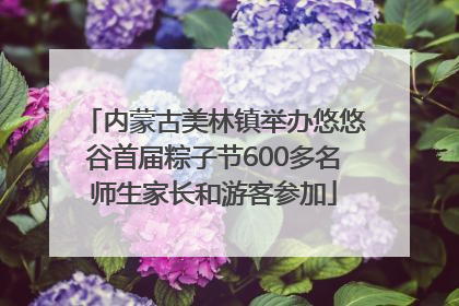 内蒙古美林镇举办悠悠谷首届粽子节600多名师生家长和游客参加