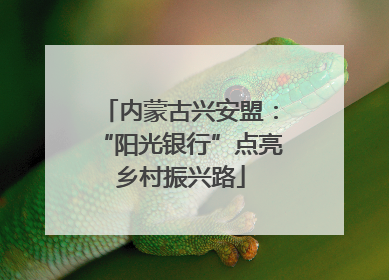 内蒙古兴安盟：“阳光银行”点亮乡村振兴路