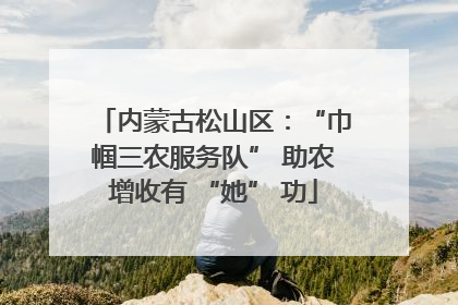 内蒙古松山区：“巾帼三农服务队” 助农增收有 “她” 功