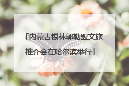 内蒙古锡林郭勒盟文旅推介会在哈尔滨举行