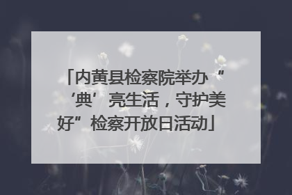 内黄县检察院举办“‘典’亮生活，守护美好”检察开放日活动
