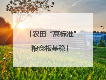 农田“高标准” 粮仓根基稳