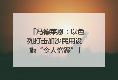 冯德莱恩：以色列打击加沙民用设施“令人憎恶”
