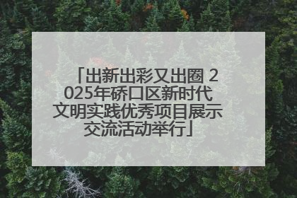 出新出彩又出圈 2025年硚口区新时代文明实践优秀项目展示交流活动举行