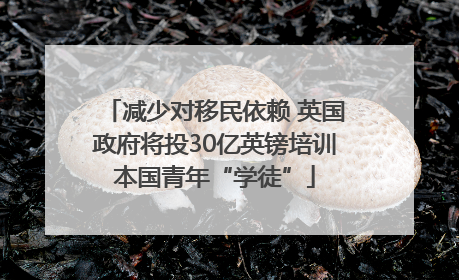 减少对移民依赖 英国政府将投30亿英镑培训本国青年“学徒”