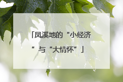 凤溪地的“小经济”与“大情怀”