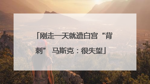 刚走一天就遭白宫“背刺” 马斯克：很失望