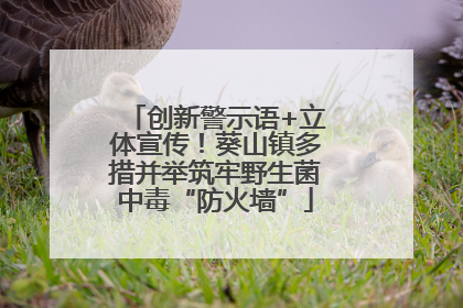 创新警示语+立体宣传！葵山镇多措并举筑牢野生菌中毒“防火墙”