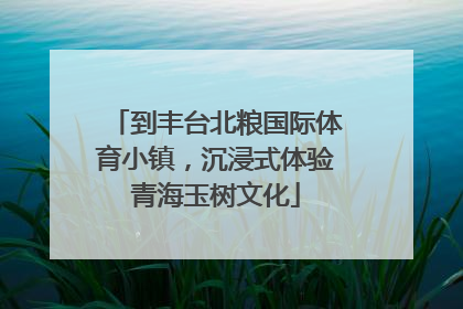 到丰台北粮国际体育小镇，沉浸式体验青海玉树文化