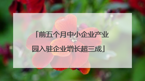 前五个月中小企业产业园入驻企业增长超三成