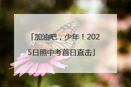 加油吧，少年！2025日照中考首日直击