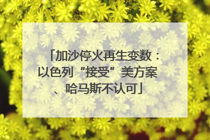 加沙停火再生变数：以色列“接受”美方案、哈马斯不认可