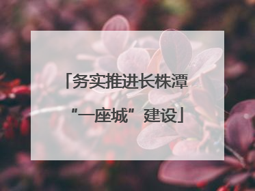 务实推进长株潭“一座城”建设