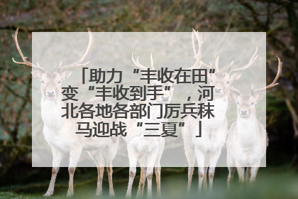 助力“丰收在田”变“丰收到手”，河北各地各部门厉兵秣马迎战“三夏”