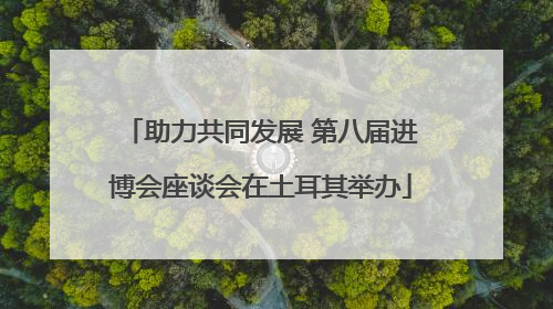 助力共同发展 第八届进博会座谈会在土耳其举办