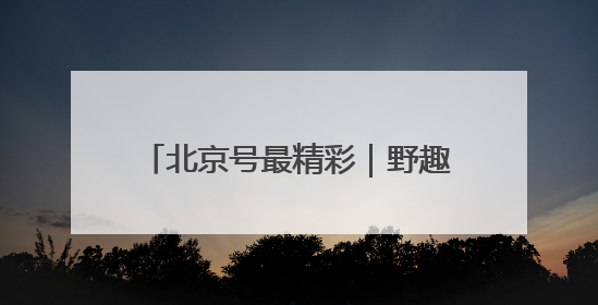 北京号最精彩｜野趣盎然！京城这个生态桥连通两大网红公园