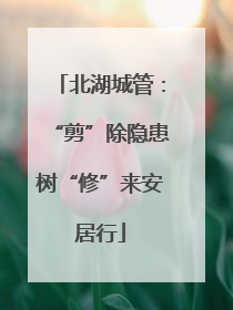 北湖城管：“剪”除隐患树“修”来安居行