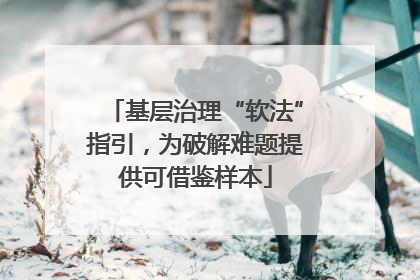 基层治理“软法”指引，为破解难题提供可借鉴样本