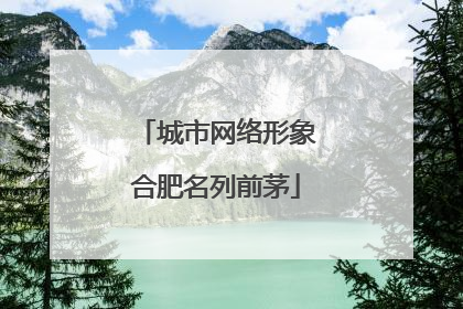 城市网络形象合肥名列前茅