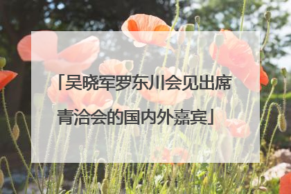 吴晓军罗东川会见出席青洽会的国内外嘉宾