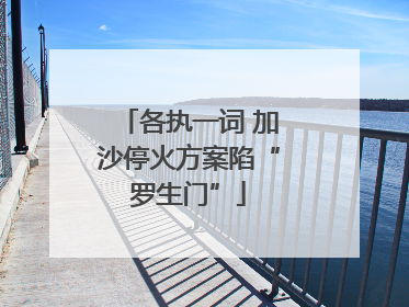各执一词 加沙停火方案陷“罗生门”