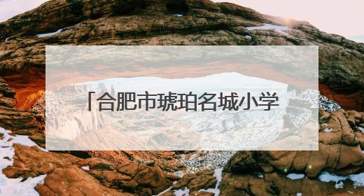 合肥市琥珀名城小学教育集团庆六一暨校园文化艺术节闭幕式文艺汇演圆满举行