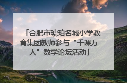 合肥市琥珀名城小学教育集团教师参与“千课万人”数学论坛活动