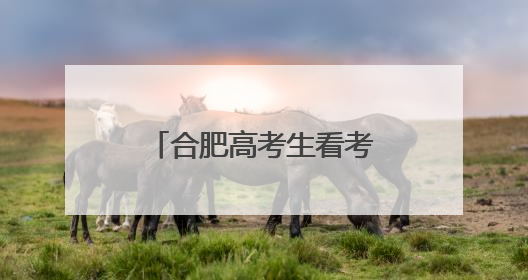 合肥高考生看考场 有家长提前演练三种出行方式