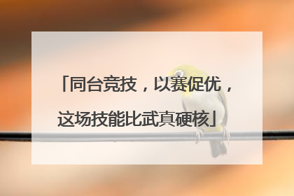 同台竞技，以赛促优，这场技能比武真硬核