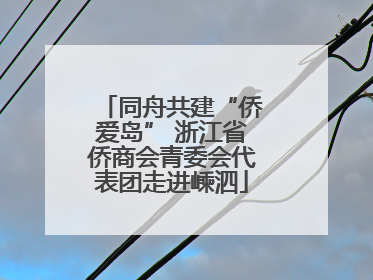 同舟共建“侨爱岛” 浙江省侨商会青委会代表团走进嵊泗