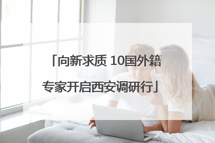 向新求质 10国外籍专家开启西安调研行