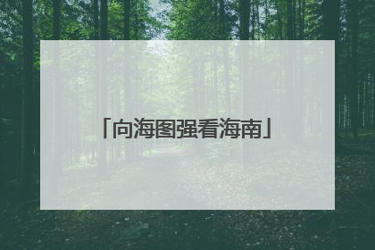 向海图强看海南