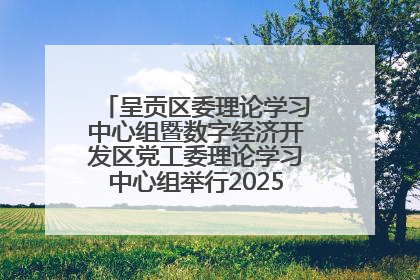 呈贡区委理论学习中心组暨数字经济开发区党工委理论学习中心组举行2025年第七次学习会议