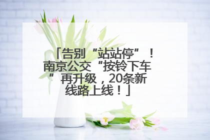 告别“站站停”！南京公交“按铃下车”再升级，20条新线路上线！