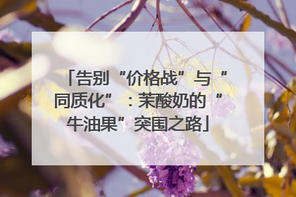 告别“价格战”与“同质化”：茉酸奶的“牛油果”突围之路