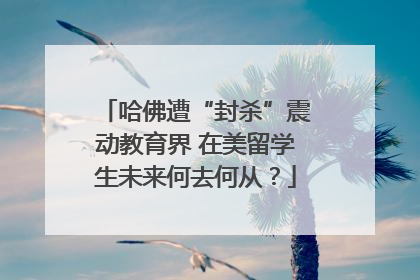 哈佛遭“封杀”震动教育界 在美留学生未来何去何从？