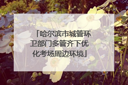 哈尔滨市城管环卫部门多管齐下优化考场周边环境