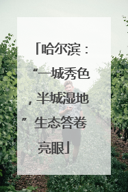 哈尔滨：“一城秀色，半城湿地”生态答卷亮眼