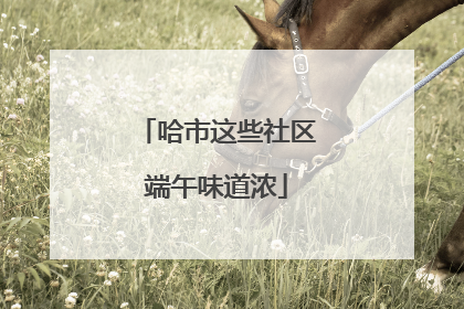 哈市这些社区端午味道浓