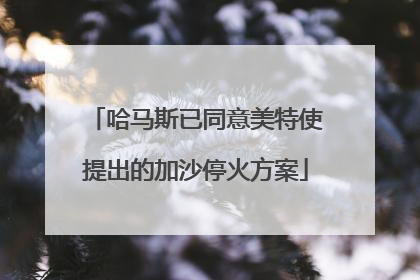 哈马斯已同意美特使提出的加沙停火方案