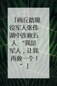 商丘籍现役军人张伟湖中连救五人 “我是军人，让我再救一个！”