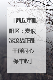 商丘市睢阳区：麦浪滚滚战正酣 干群同心保丰收