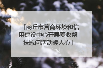 商丘市营商环境和信用建设中心开展麦收帮扶慰问活动暖人心