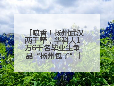 喷香！扬州武汉两手牵，华科大1万6千名毕业生争品“扬州包子”
