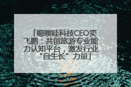 嗯噢哇科技CEO窦飞鹏：共创旅游专业能力认知平台，激发行业“自生长”力量