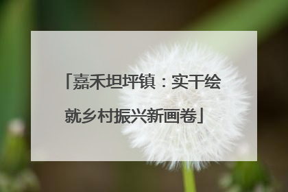 嘉禾坦坪镇：实干绘就乡村振兴新画卷