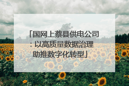 国网上蔡县供电公司：以高质量数据治理 助推数字化转型