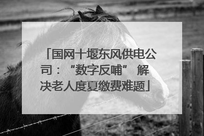 国网十堰东风供电公司：“数字反哺” 解决老人度夏缴费难题