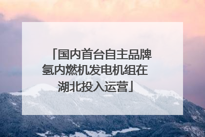 国内首台自主品牌氢内燃机发电机组在湖北投入运营