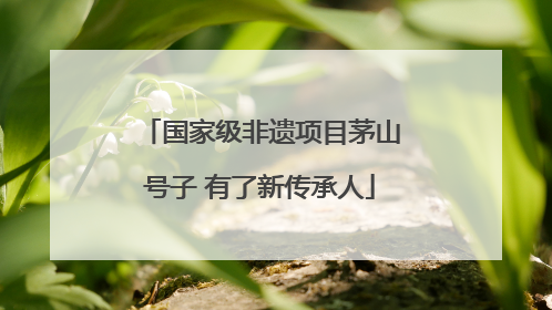 国家级非遗项目茅山号子 有了新传承人